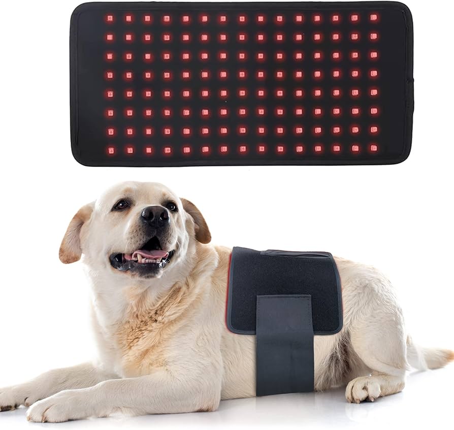 Targeted Red Light Therapy for Everyday Pain Relief & Recovery
