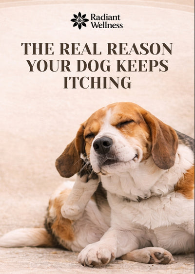 The Dog Skin Support Blueprint